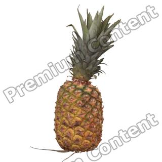 Pineapple 3D Scan Retopo